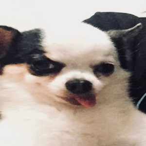 Sobra Skill (Explicit)