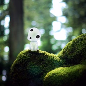 Kodama