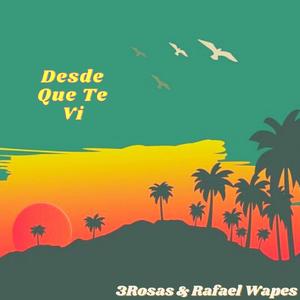 Desde Que Te Vi (feat. Rafael Wapes) [Explicit]