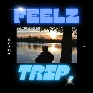 FEELZ TRIP. (Explicit)