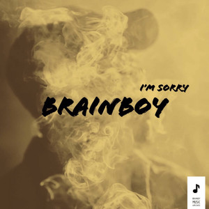 I’m Sorry (Explicit)