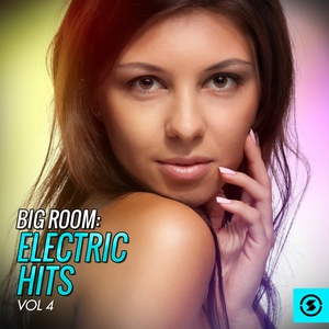 Big Room: Electric Hits, Vol. 4