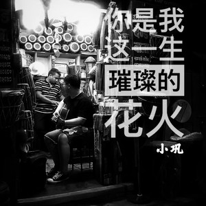 你是我这一生璀璨的花火