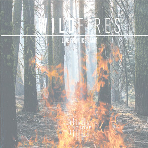 Wildfires (Live)