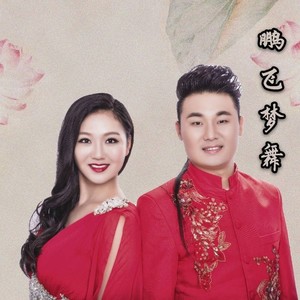 该忘的人忘不掉 (DJ默涵版伴奏)