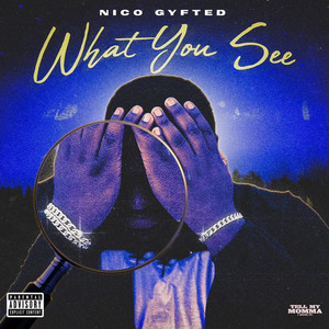 What You See (Explicit)