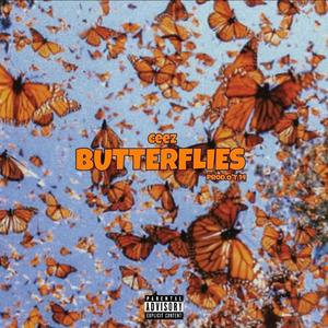 Butterflies (feat. Latoya) [Explicit]