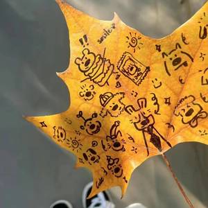 乐观的悲观主义