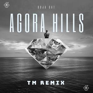 Agora Hills (Remix V2) [Explicit]