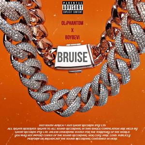 Bruise (feat. BoyBevi) (Explicit)