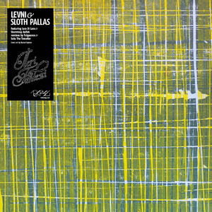 If I Knew(feat. Lara Di Lara) (Sotu the Traveller Remix)