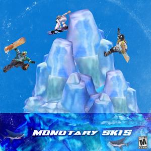 Monotary Ski's (Explicit)