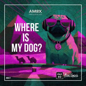 Where Is My Dog? (Radio Mix)