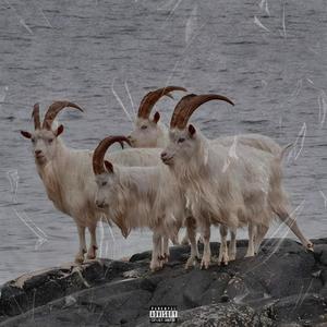 EN ALTA (feat. Navarriki)