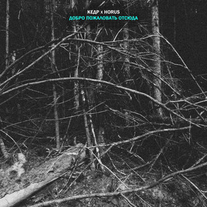 Добро пожаловать отсюда (Explicit)