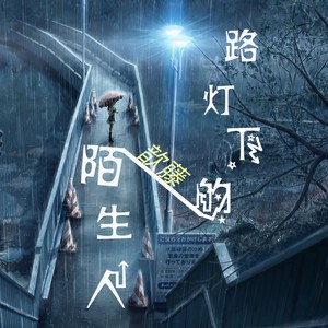 路灯下的陌生人