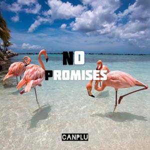Cheat Codes-No Promises (CanPlu remix)