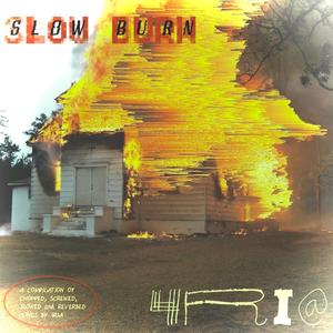 SCATTER BRAINED **** (SLOW BURN VERSION)