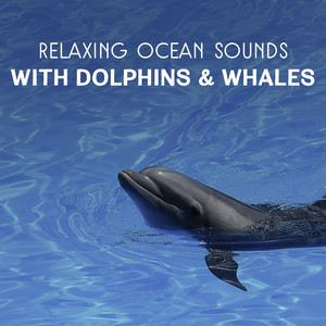 Relaxing Ocean Sounds with Dolphins & Whales – Healing Water Music Therapy, Natural Sleep Aid, Crashing Ocean Waves, Deep Meditation