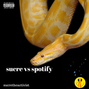 sucre vs spotify