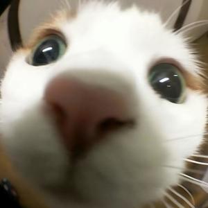 《luv ya forever》