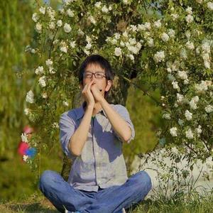 梦里花落知多少