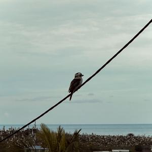 if... (feat. Alex Gravett)