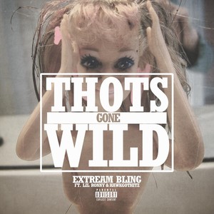 Thots Gone Wild(feat. Lil Ronny & Hawkgothitz) (Explicit)