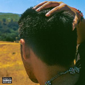 SUMMER AMBITION* (Explicit)