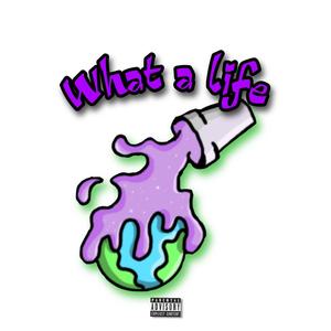 What a life (Explicit)