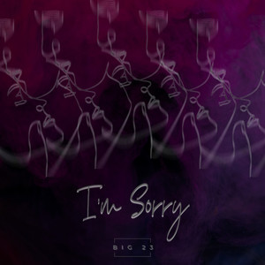 I’m Sorry (Explicit)