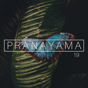 19 Pranayama - Música Relajante Zen para la Respiración