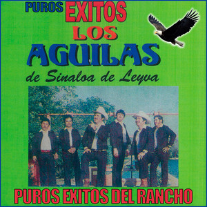 Puros Éxitos Del Rancho