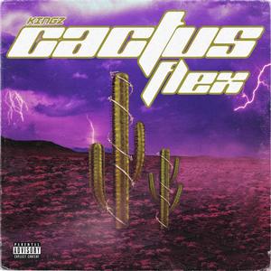 CACTUS FLEX (Explicit)