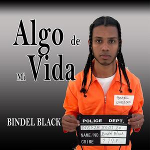 Bindel Black - Algo De Mi Vida