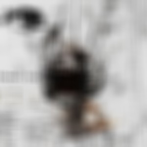 GRoost - Fang Tee (Explicit)