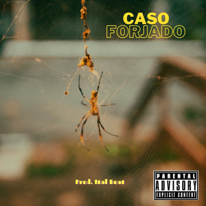 Caso Forjado (Explicit)