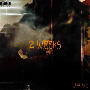 2 Weeks (feat. Luh Aye) [Explicit]