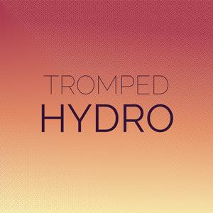 Tromped Hydro