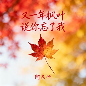 又一年枫叶说你忘了我