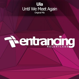 Until We Meet Again (Original Mix)