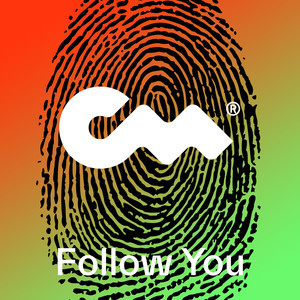 Follow You (J Mike Remix)
