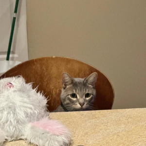 Hate Da Game (feat. Jūyō) (Explicit)