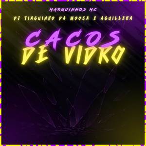 Cacos de Vidro (Explicit)