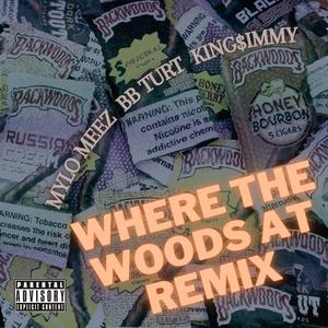 Where the woods at?Remix (feat. BB Turt & King$immy) [Explicit]