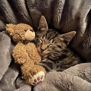 Last Christmas (氛围版)