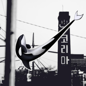 범고래