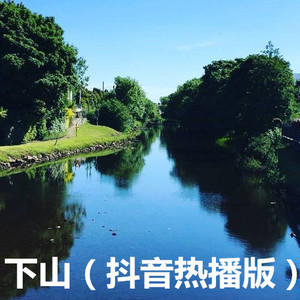 撒野