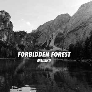 Forbidden Forest