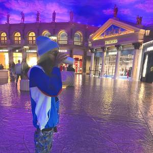 Coping Skills (Explicit)